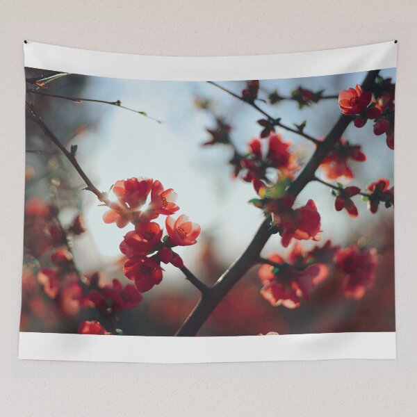 Item preview, The sun behind a flowering branch designed and sold by viknitov.