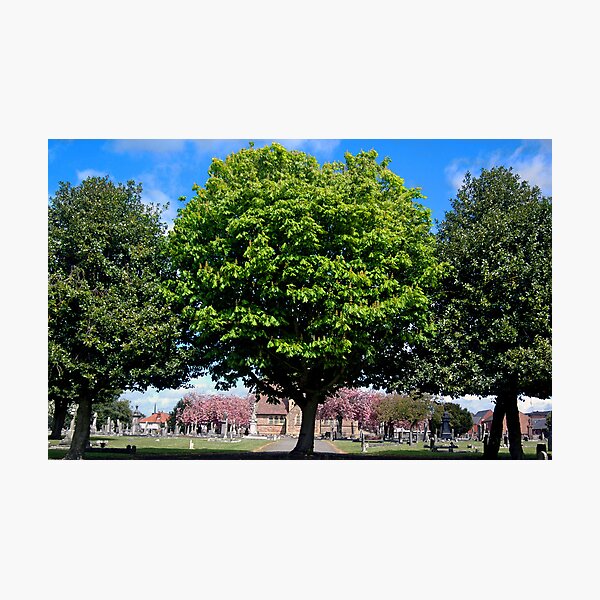 Life resides here Photographic Print