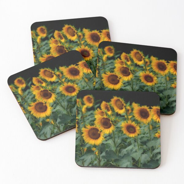 Item preview, Sunflowers in late July designed and sold by EdwardMonet.