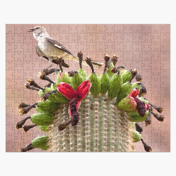 Watercolor Bird, Mockingbird 01, on Fruiting Saguaro Cactus, Ventana Canyon, Arizona Jigsaw Puzzle