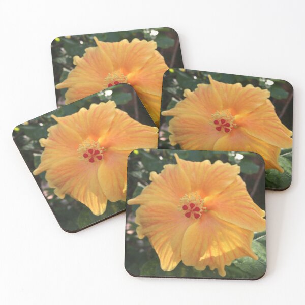 Item preview, Hibiscus  designed and sold by AGODIPhoto.