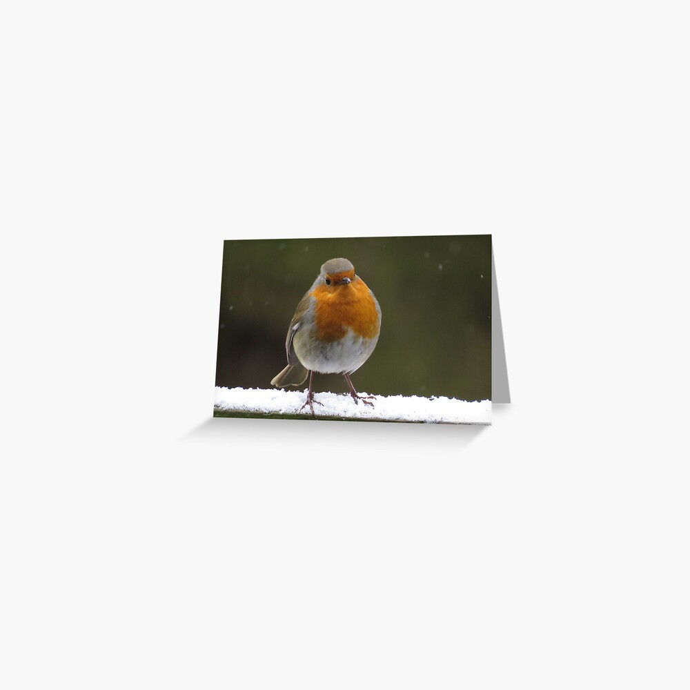 Snowy Christmas Robin Greeting Card