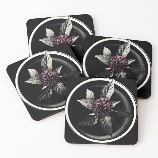 Item preview, indoor gardener plants designed and sold by vidyaroul.