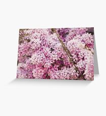 Purple. Greeting Card