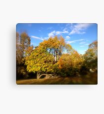 Firmly Stable Canvas Print