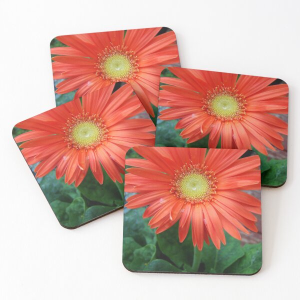 Item preview, Happy to See You designed and sold by AGODIPhoto.