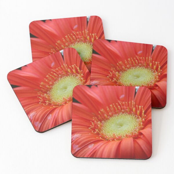 Item preview, Daisy Girl designed and sold by AGODIPhoto.