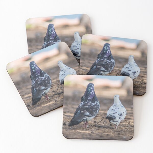 Item preview, Oriental roller and a Pigeon designed and sold by KensLensDesigns.