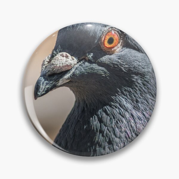 Item preview, Pigeon designed and sold by KensLensDesigns.