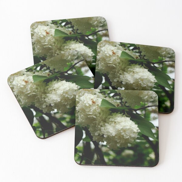 Item preview, White & Green  designed and sold by AGODIPhoto.
