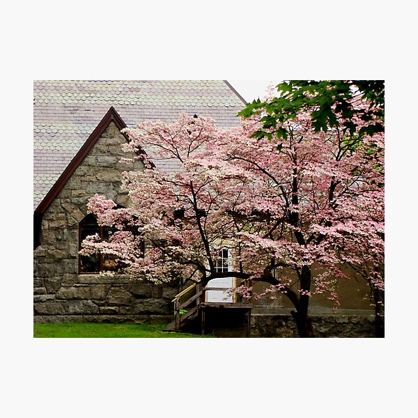 Item preview, Blossoming designed and sold by AGODIPhoto.