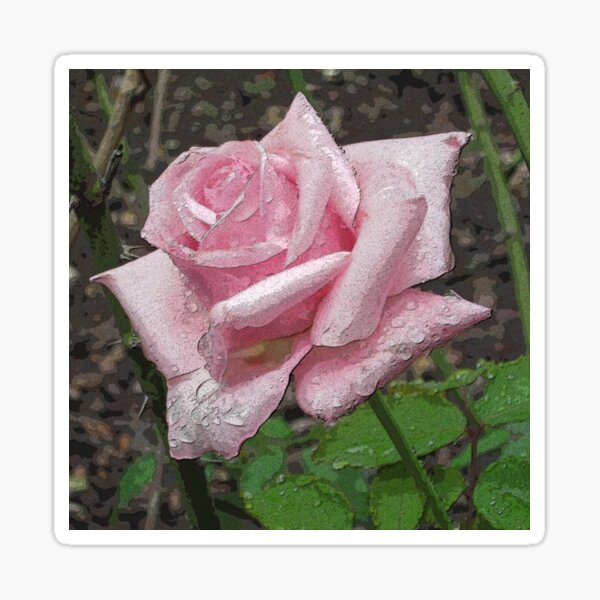 BIG ROSE PINK vintage 70's look 2022 small Sticker