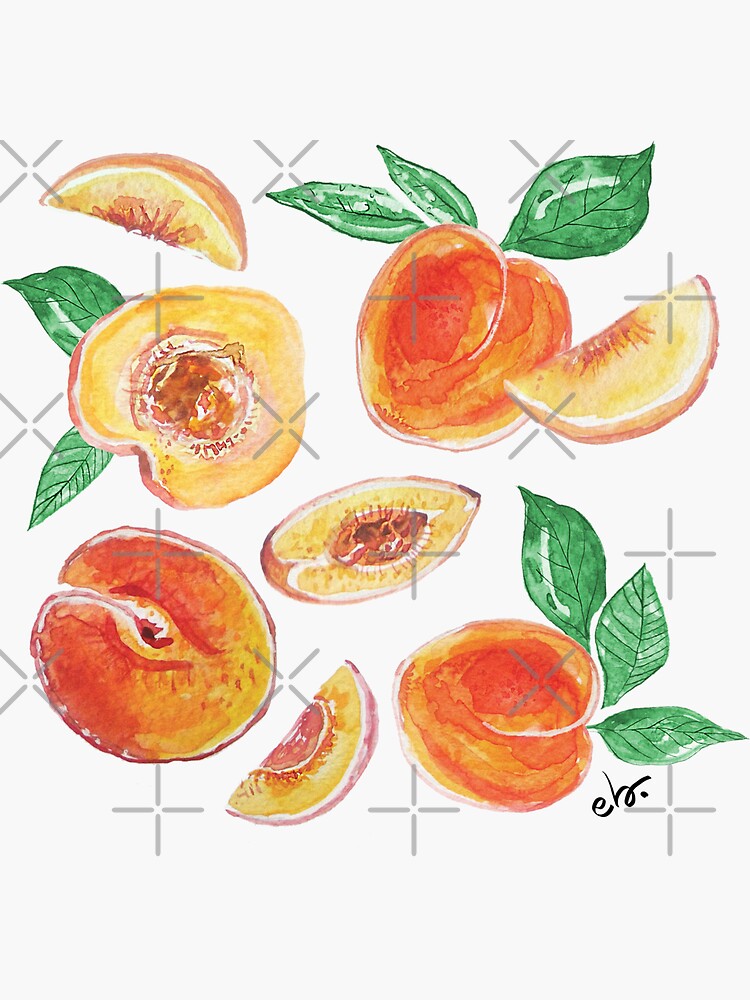 Thumbnail 3 of 3, Sticker, Peach party in my garden_ watercolour & ink designed and sold by ebozzastudio.