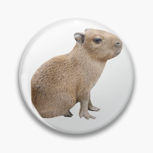 Item preview, Bebé capibara designed and sold by Mino Shop.