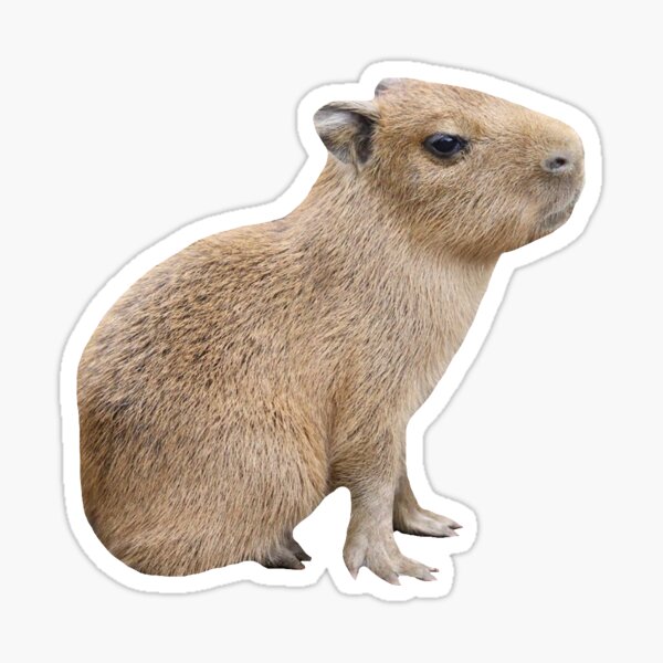 Adesivo Capivara Bebê - Capybaby