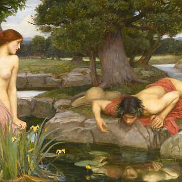 Artwork thumbnail, Waterhouse's "Echo and Narcissus" by laurens-doodles