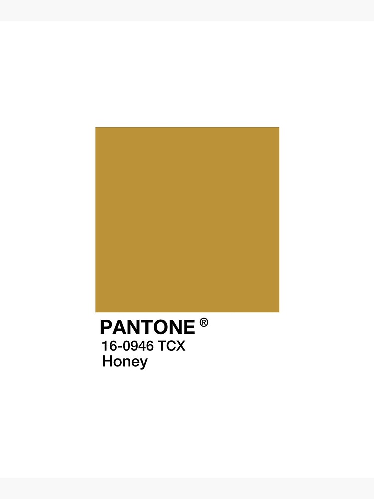 &ldquo;PANTONE Honig - Gelb / Braun&rdquo; Schürze von Mushroom-Gorge | Redbubble