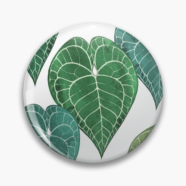Artikelvorschau, Anthurium clarinervium Blätter entworfen und verkauft von Iker Paz Studio.