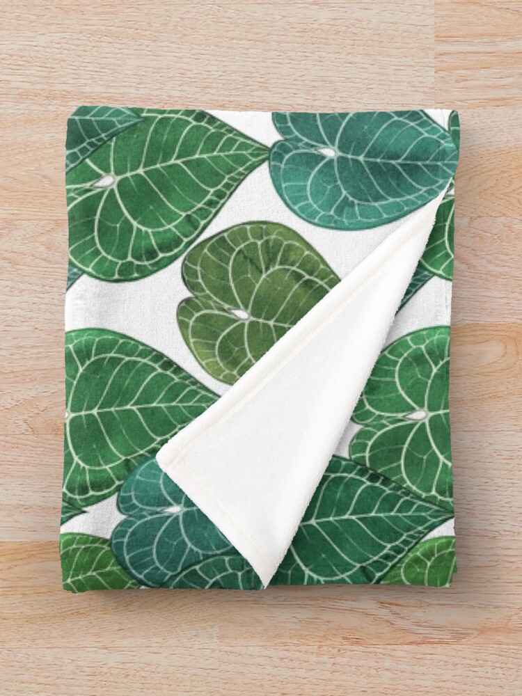 Alternate view of Anthurium clarinervium leaves Throw Blanket