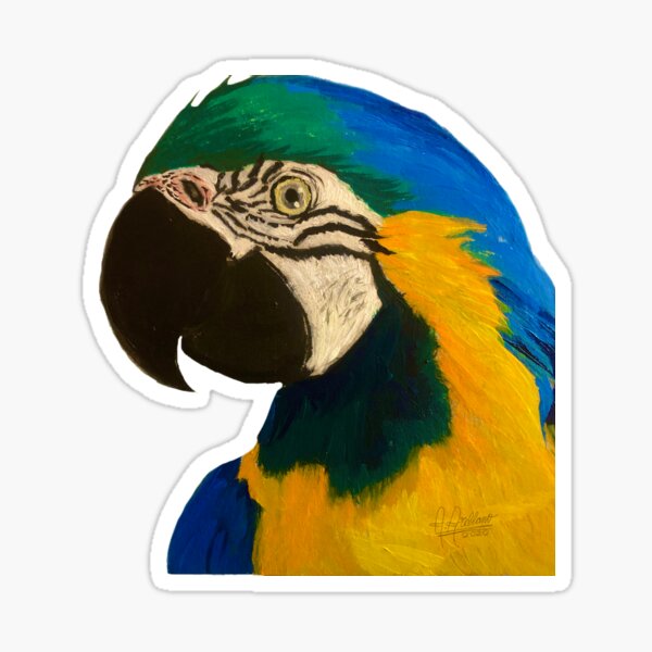 Exotic bird Guacamaya, papagayo, Macaw Sticker