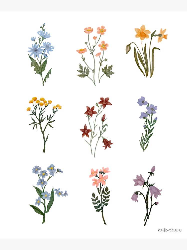 Watercolor Wildflowers by cait-shaw