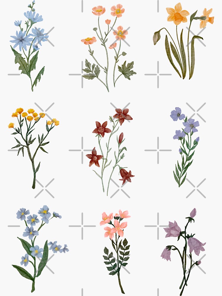 Watercolor Wildflowers Sticker for Sale by cait-shaw