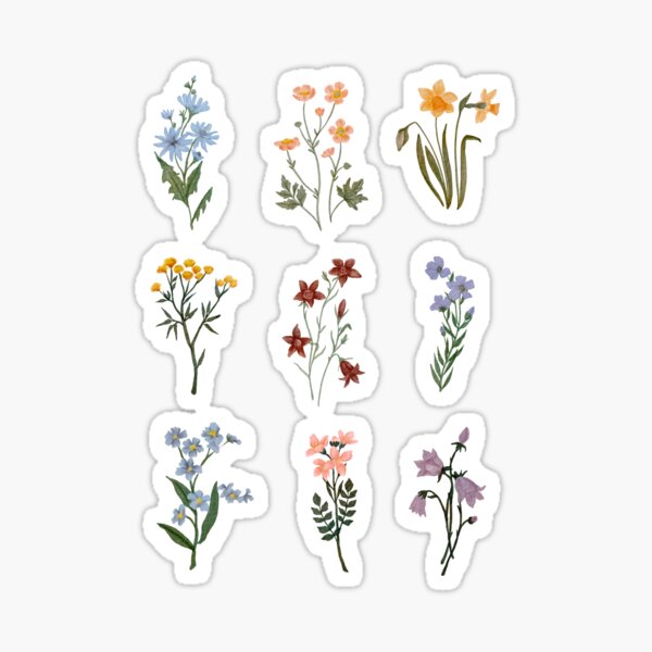 Watercolor Wildflowers Sticker for Sale by cait-shaw