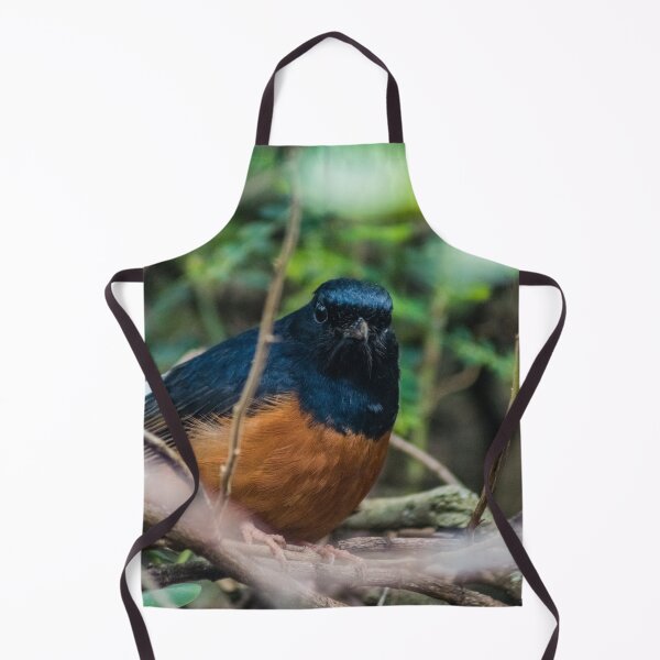 Item preview, White-rumped shama designed and sold by KensLensDesigns.
