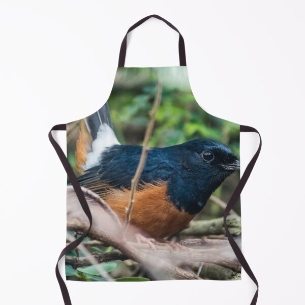 Item preview, White-rumped shama designed and sold by KensLensDesigns.