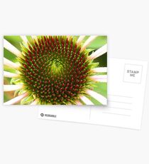 natures abstracts Postcards