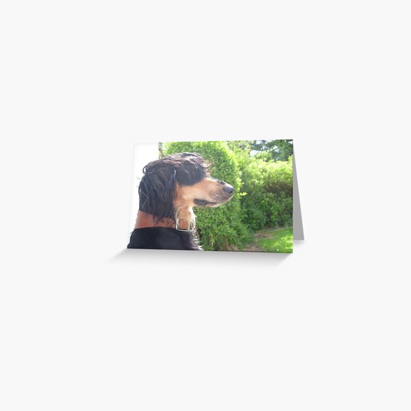 The office dog on a bad hair day Greeting Card