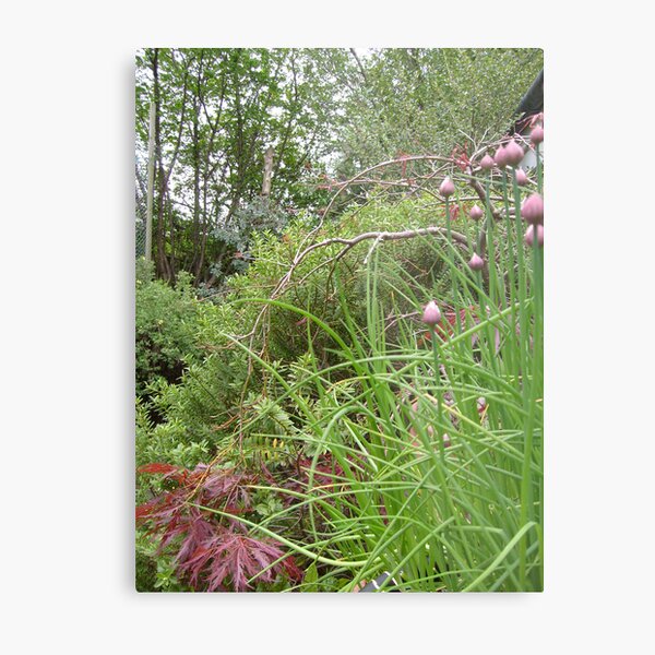 foliage Metal Print