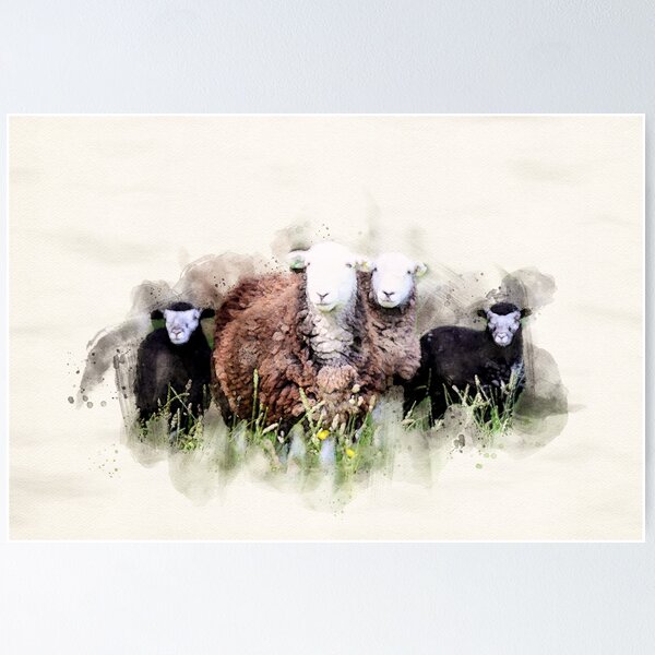 Item preview, Herdwick Gang designed and sold by Roz Goodman.