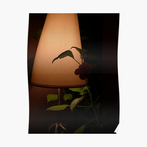 Plant in table lamp Poster