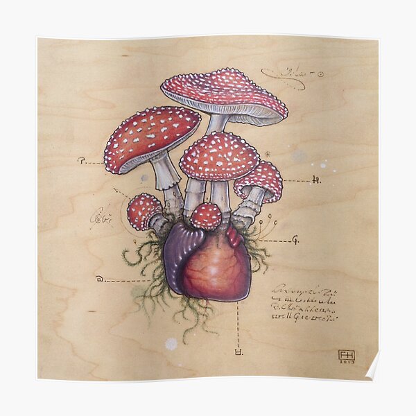Toadstool Heart (Amanita Muscaria) Poster