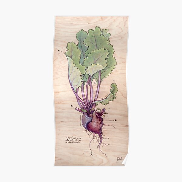 Heart Beet Poster