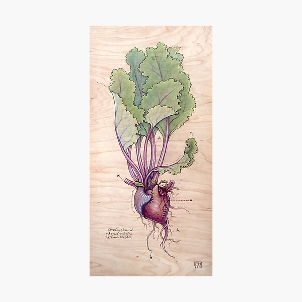 Heart Beet Photographic Print