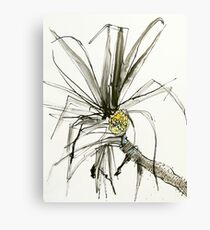 pandanus fruit Canvas Print
