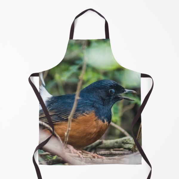 Item preview, White-rumped shama designed and sold by KensLensDesigns.