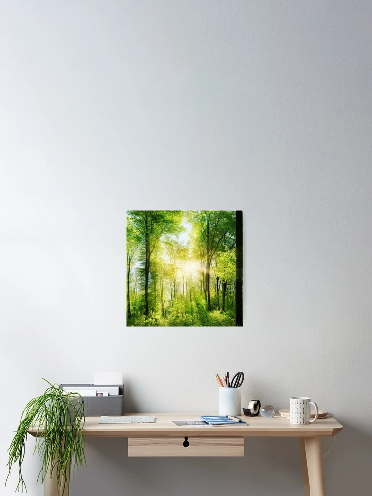 Thumbnail 2 of 3, Poster, MORNING FOREST designed and sold by Code7c.