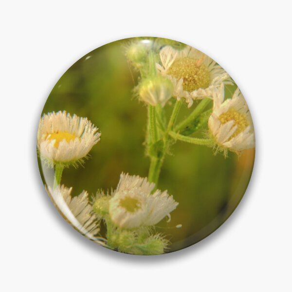 Artikelvorschau, Wildblumen bei Briggs entworfen und verkauft von LynyrdSky.