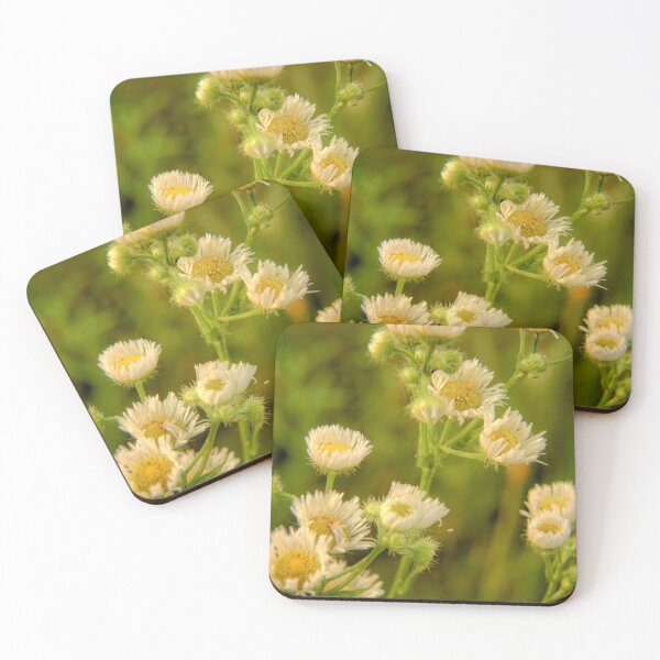 Item preview, Wildflowers At Briggs designed and sold by LynyrdSky.