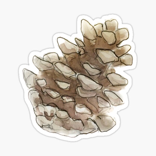 Whimsical Woodsy Pinecone Illustration in Watercolor  Sticker