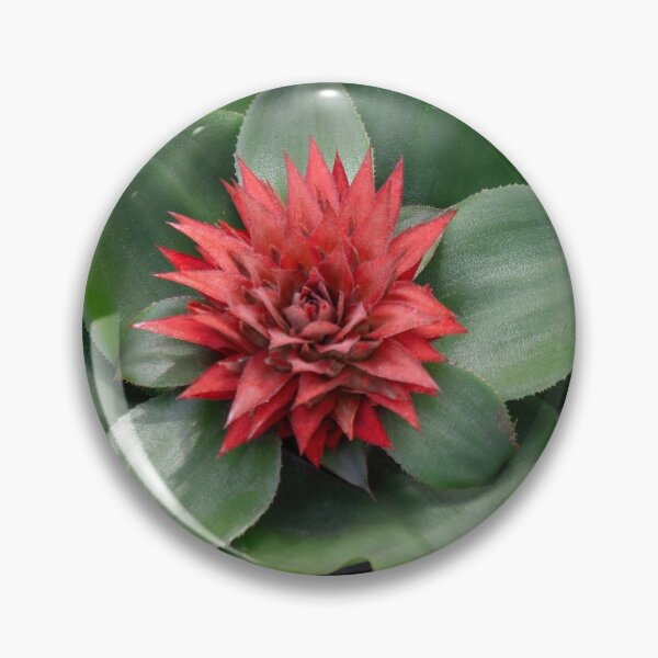Item preview, Red tropical flower designed and sold by DBSA.