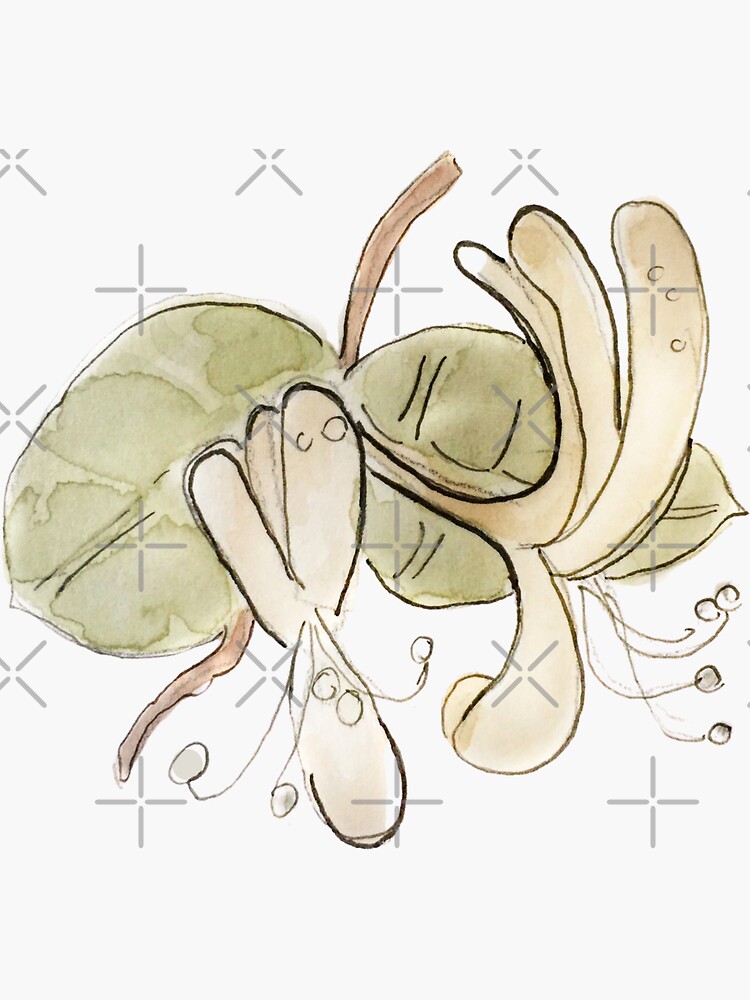Yellow Honeysuckle Illustration in Watercolor by WitchofWhimsy