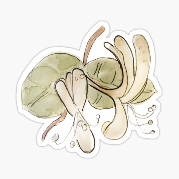Yellow Honeysuckle Illustration in Watercolor Sticker