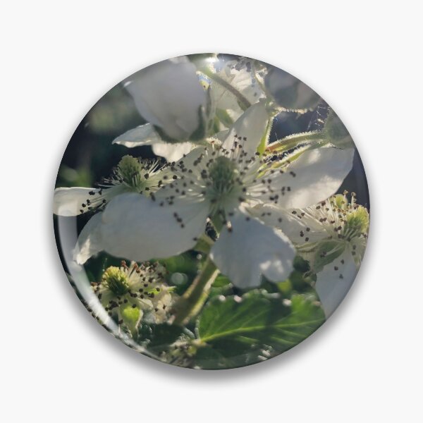 Item preview, Sunbeam on Flowers designed and sold by tryslora.