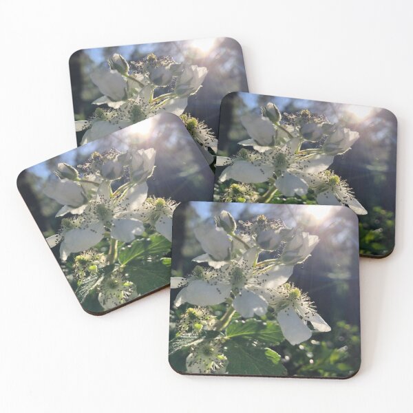 Item preview, Sunbeam on Flowers designed and sold by tryslora.