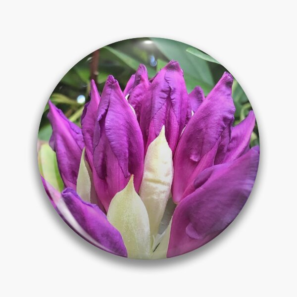 Item preview, Rhododendron Buds designed and sold by tryslora.