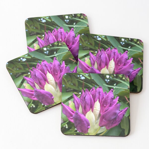 Item preview, Rhododendron Buds designed and sold by tryslora.